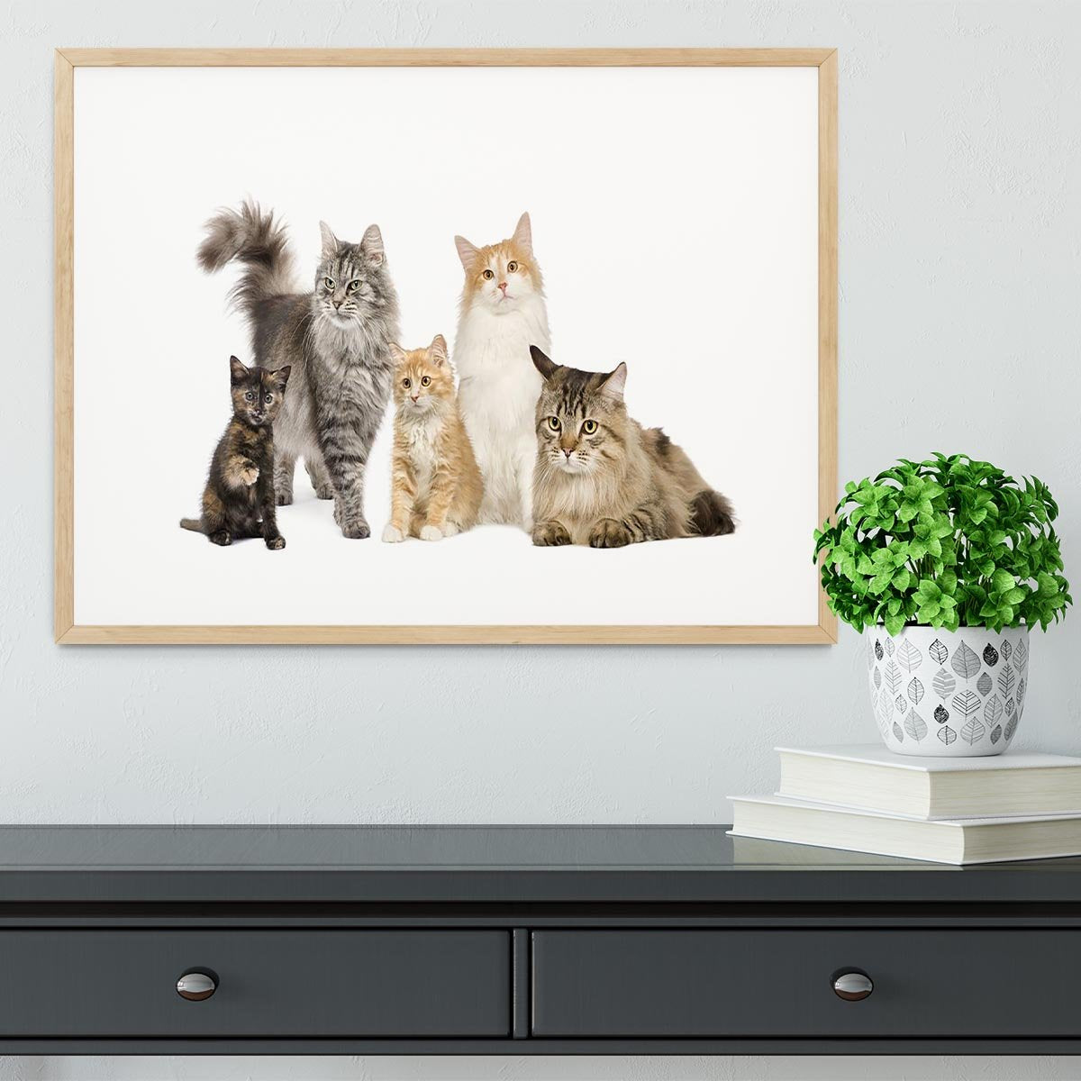 Group of 5 cats Norwegian Siberian and persian cat Framed Print - Canvas Art Rocks - 3
