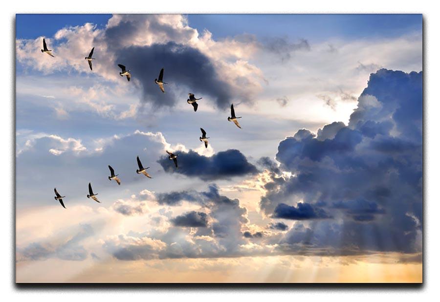 Group of Canadian geese flying in V-formation Canvas Print or Poster - Canvas Art Rocks - 1