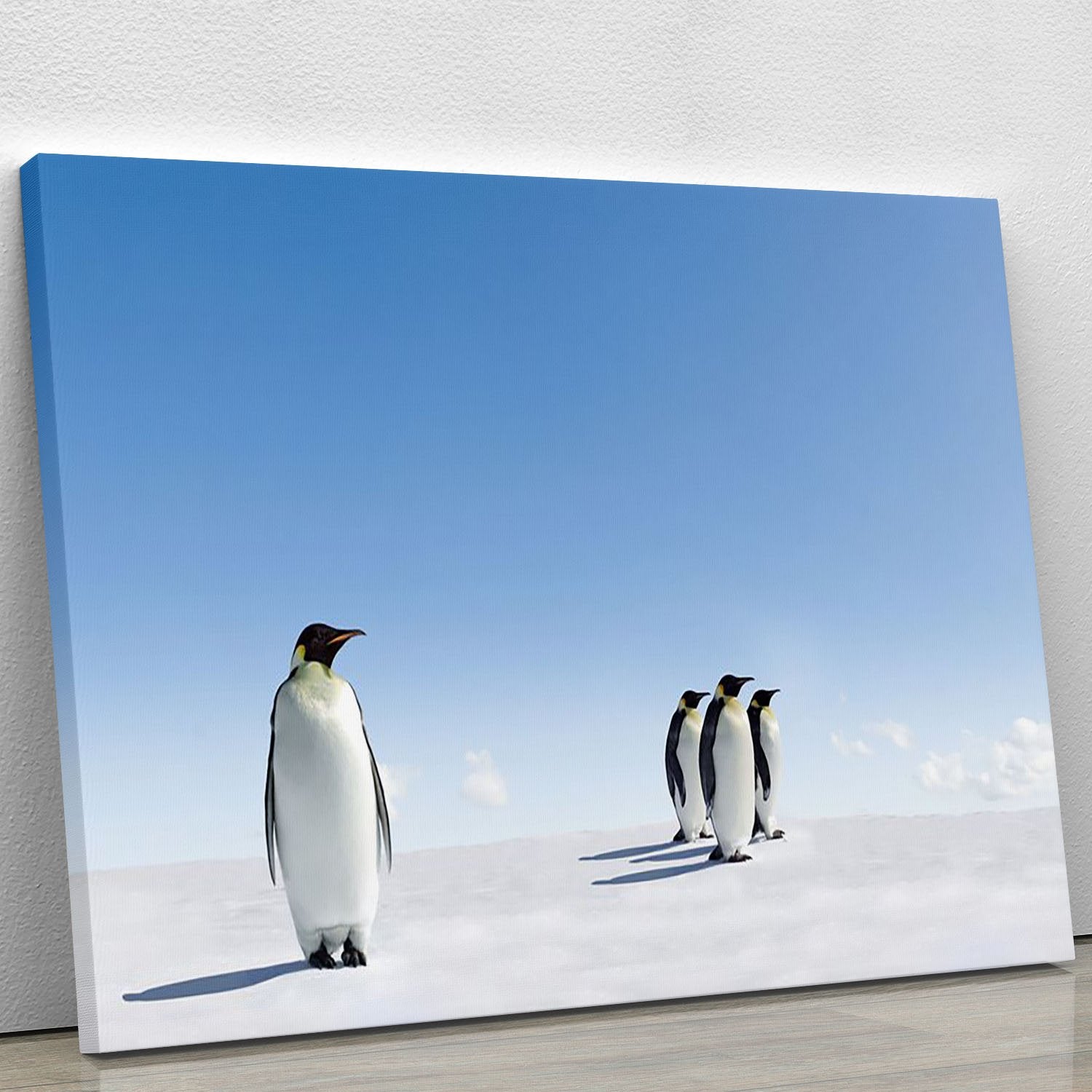 Group of Emperor Penguins in Antarctica Canvas Print or Poster