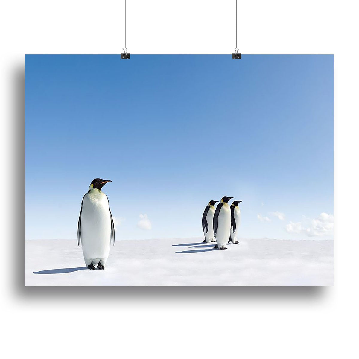 Group of Emperor Penguins in Antarctica Canvas Print or Poster