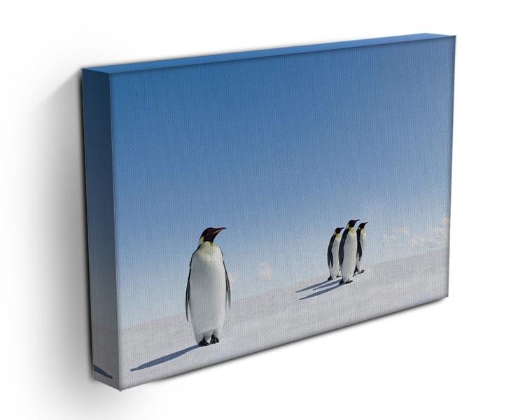 Group of Emperor Penguins in Antarctica Canvas Print or Poster - Canvas Art Rocks - 3