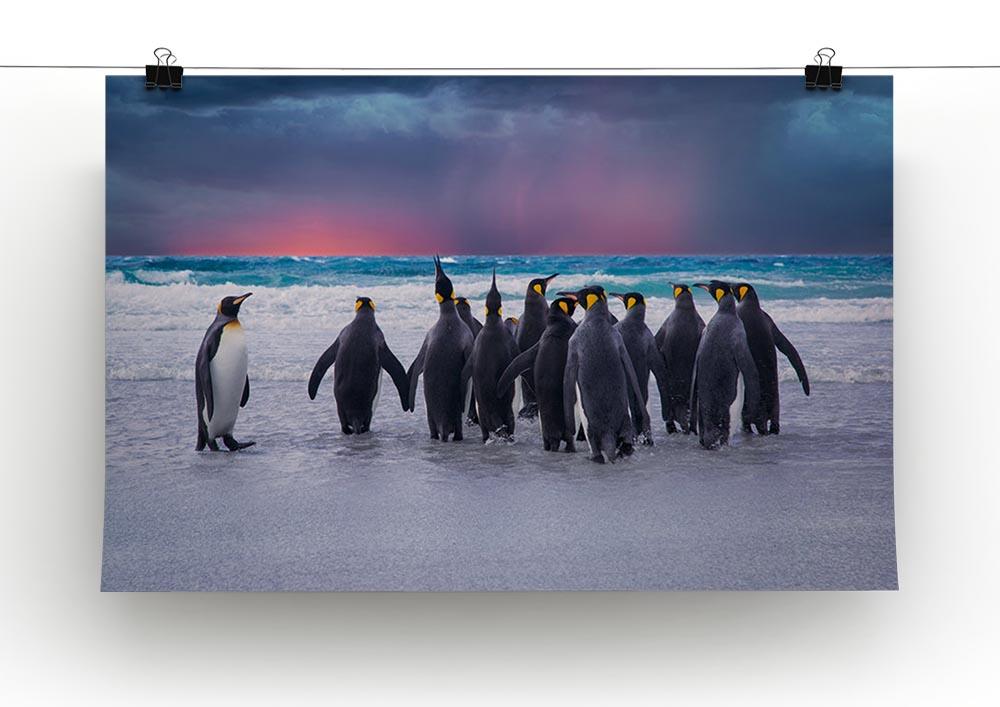 Group of King Penguins in the Falkland Islands Canvas Print or Poster - Canvas Art Rocks - 2