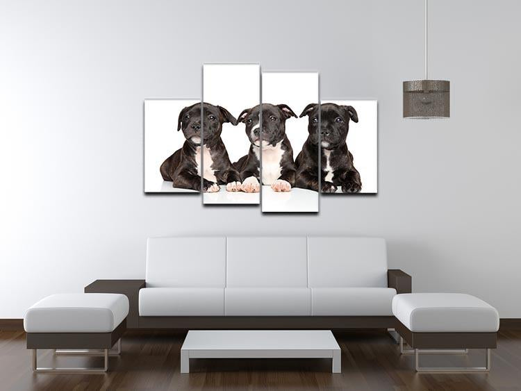 Group of Staffordshire bull terrier puppies 4 Split Panel Canvas - Canvas Art Rocks - 3