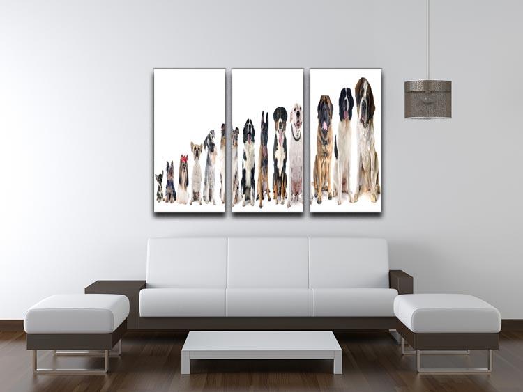 Group of dogs in front of white background 3 Split Panel Canvas Print - Canvas Art Rocks - 3