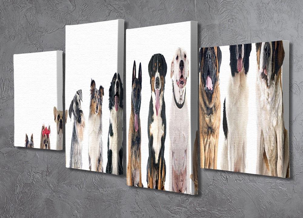Group of dogs in front of white background 4 Split Panel Canvas - Canvas Art Rocks - 2