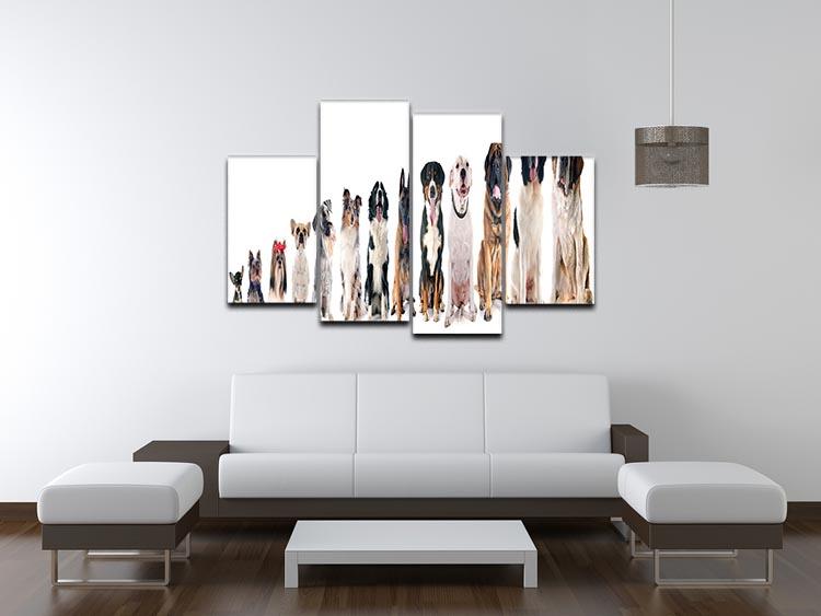 Group of dogs in front of white background 4 Split Panel Canvas - Canvas Art Rocks - 3