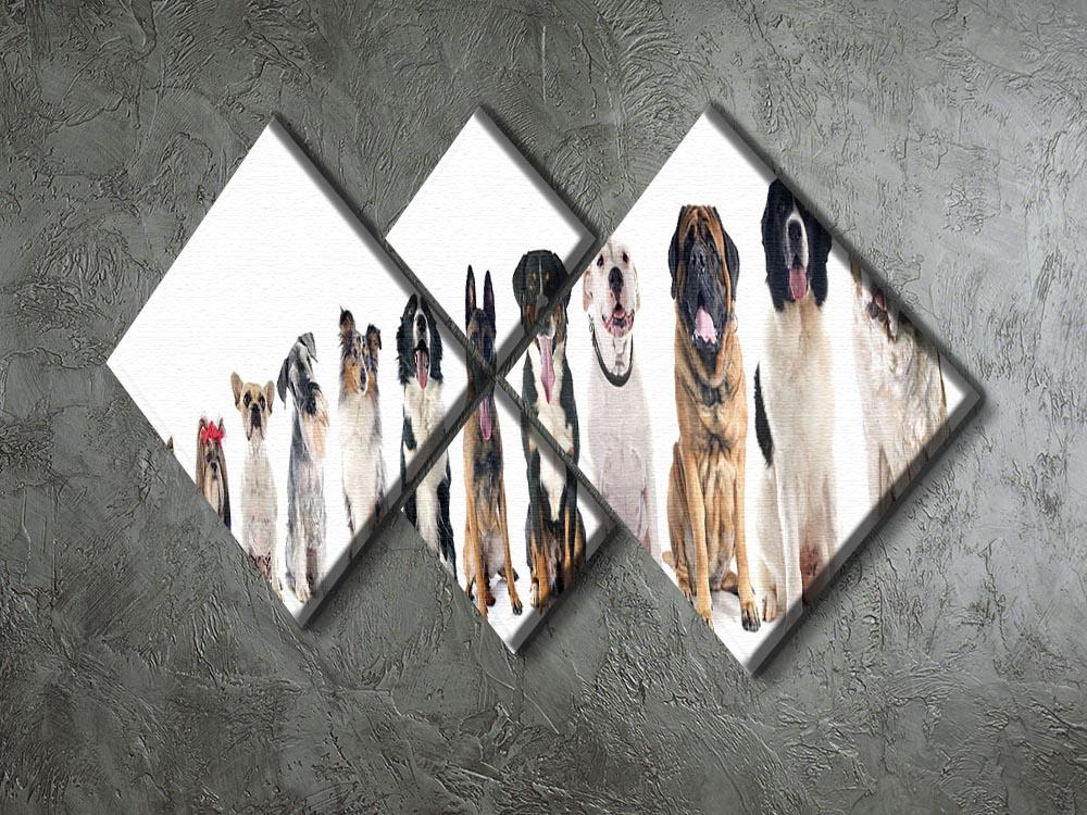 Group of dogs in front of white background 4 Square Multi Panel Canvas - Canvas Art Rocks - 2
