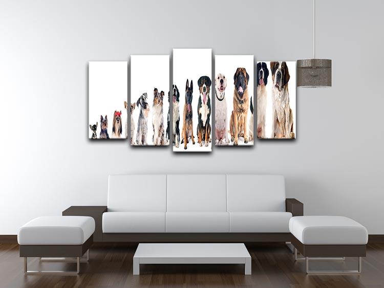 Group of dogs in front of white background 5 Split Panel Canvas - Canvas Art Rocks - 3