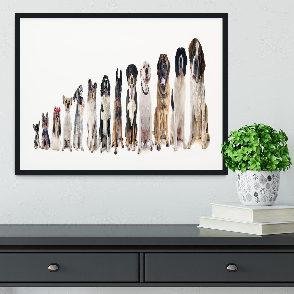 Group of dogs in front of white background Framed Print - Canvas Art Rocks - 1