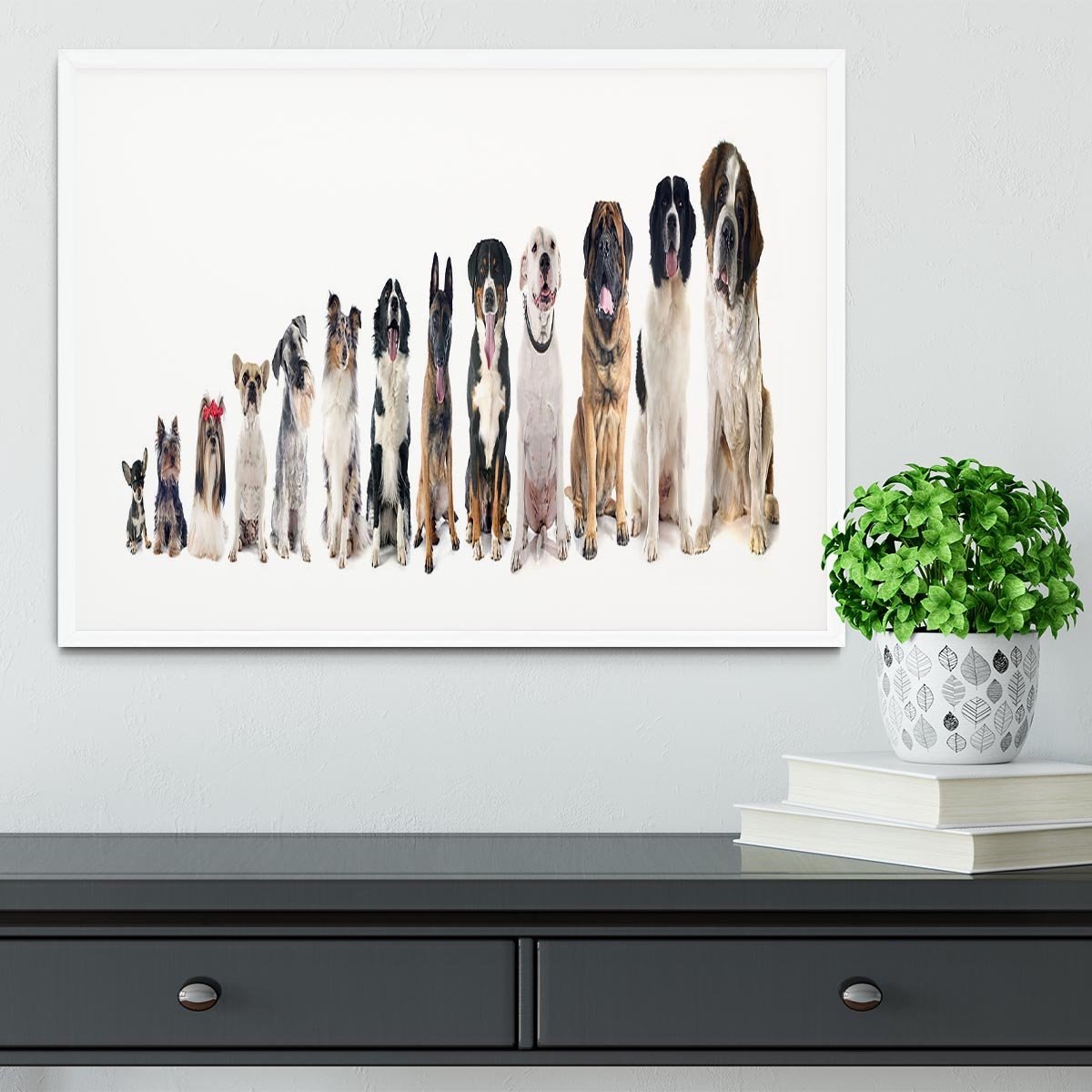 Group of dogs in front of white background Framed Print - Canvas Art Rocks - 5