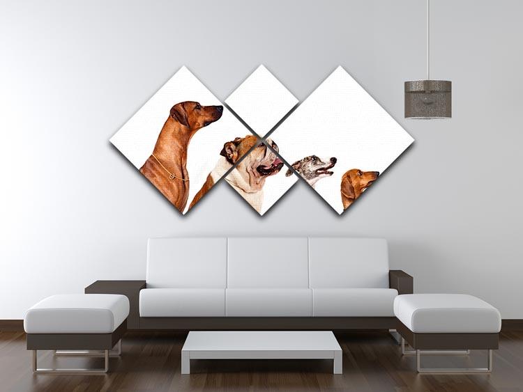 Group of dogs looking up 4 Square Multi Panel Canvas - Canvas Art Rocks - 3