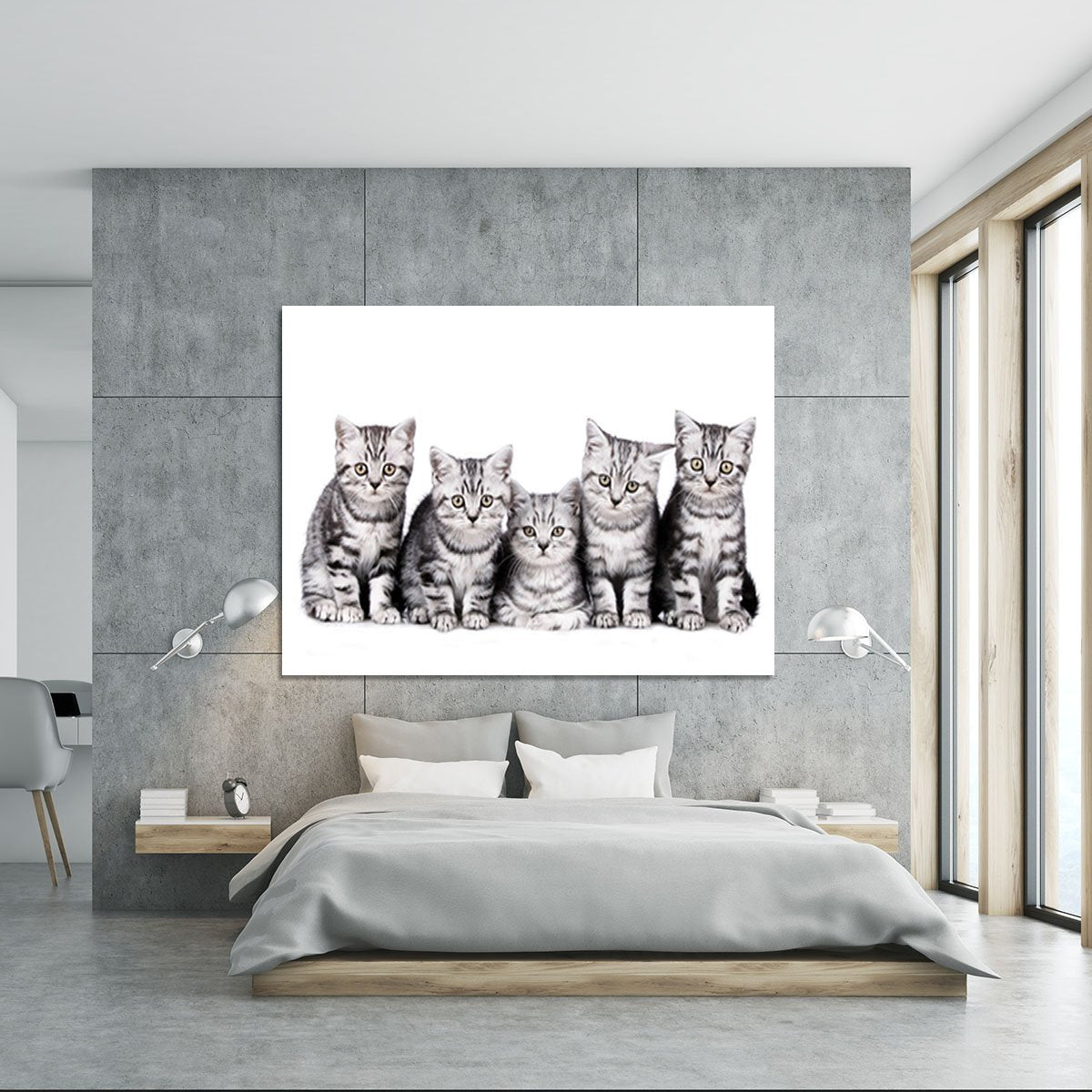 Group of five british shorthair kitten Canvas Print or Poster