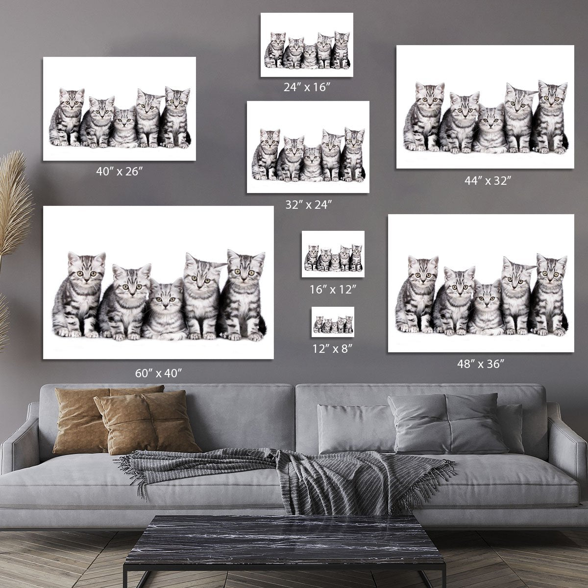 Group of five british shorthair kitten Canvas Print or Poster