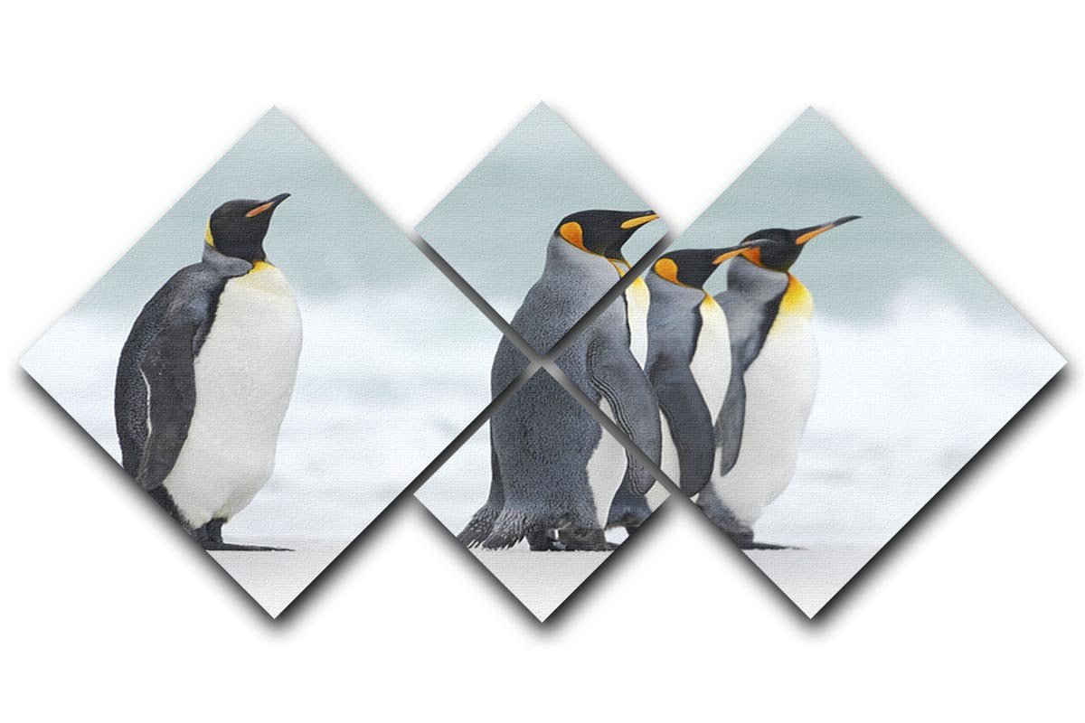 Group of four King penguins 4 Square Multi Panel Canvas - Canvas Art Rocks - 1