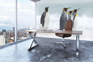 Group of four King penguins Wall Mural Wallpaper - Canvas Art Rocks - 3
