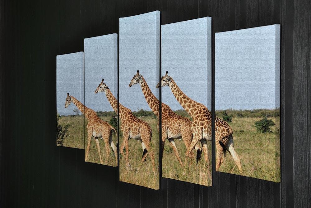 Group of giraffes in the Masai Mara Reserve 5 Split Panel Canvas - Canvas Art Rocks - 2