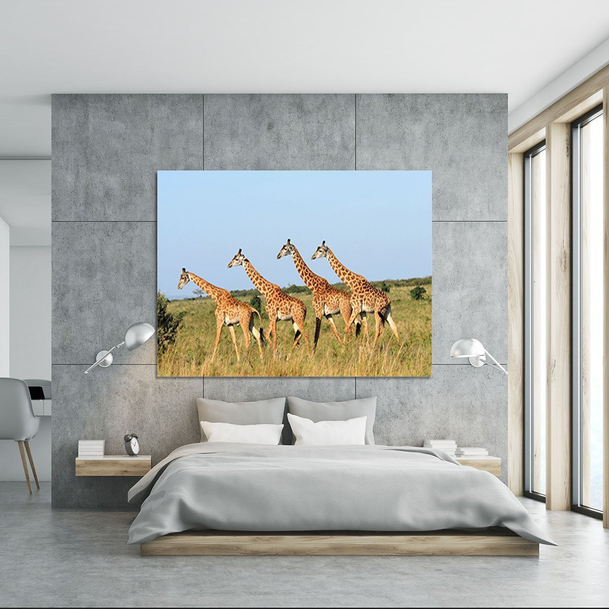 Group of giraffes in the Masai Mara Reserve Canvas Print or Poster