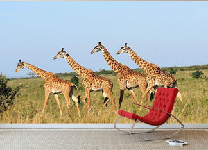 Group of giraffes in the Masai Mara Reserve Wall Mural Wallpaper - Canvas Art Rocks - 2
