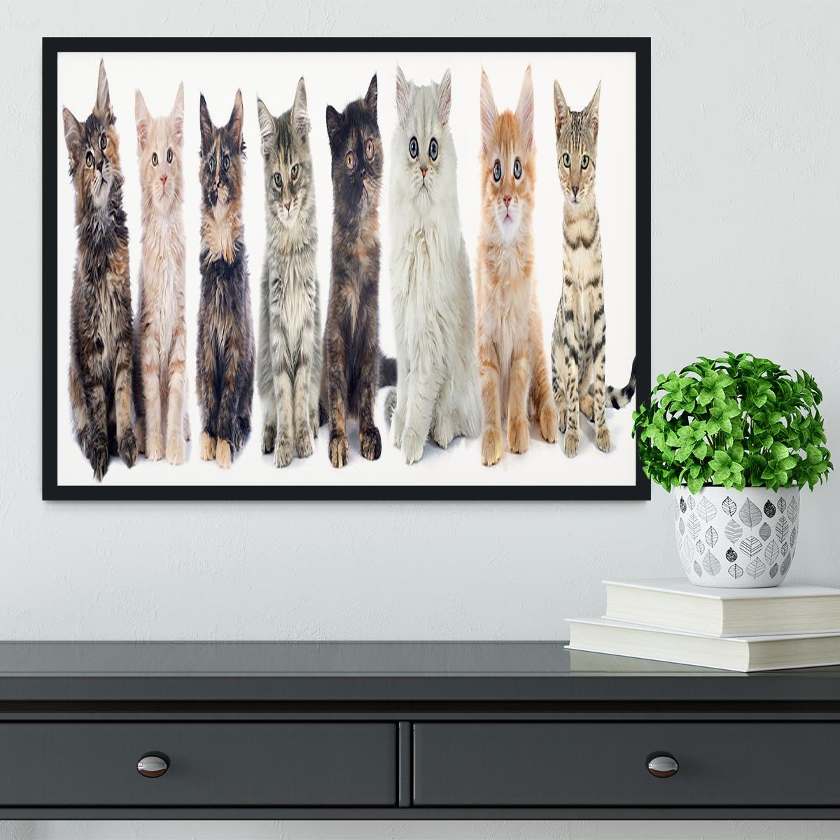 Group of kitten in front of white background Framed Print - Canvas Art Rocks - 2
