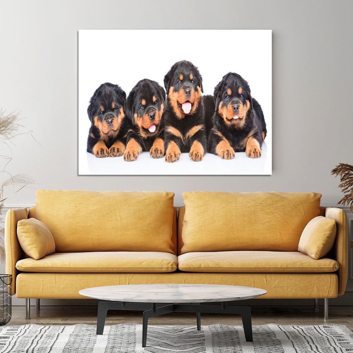 Group of puppies Rottweiler Canvas Print or Poster