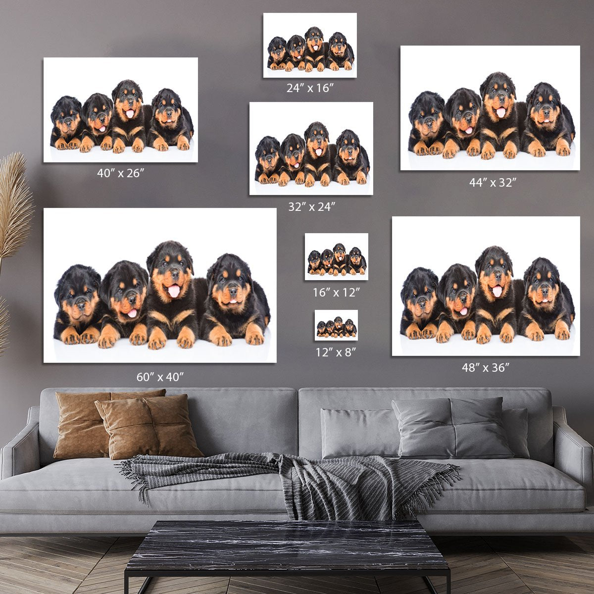 Group of puppies Rottweiler Canvas Print or Poster