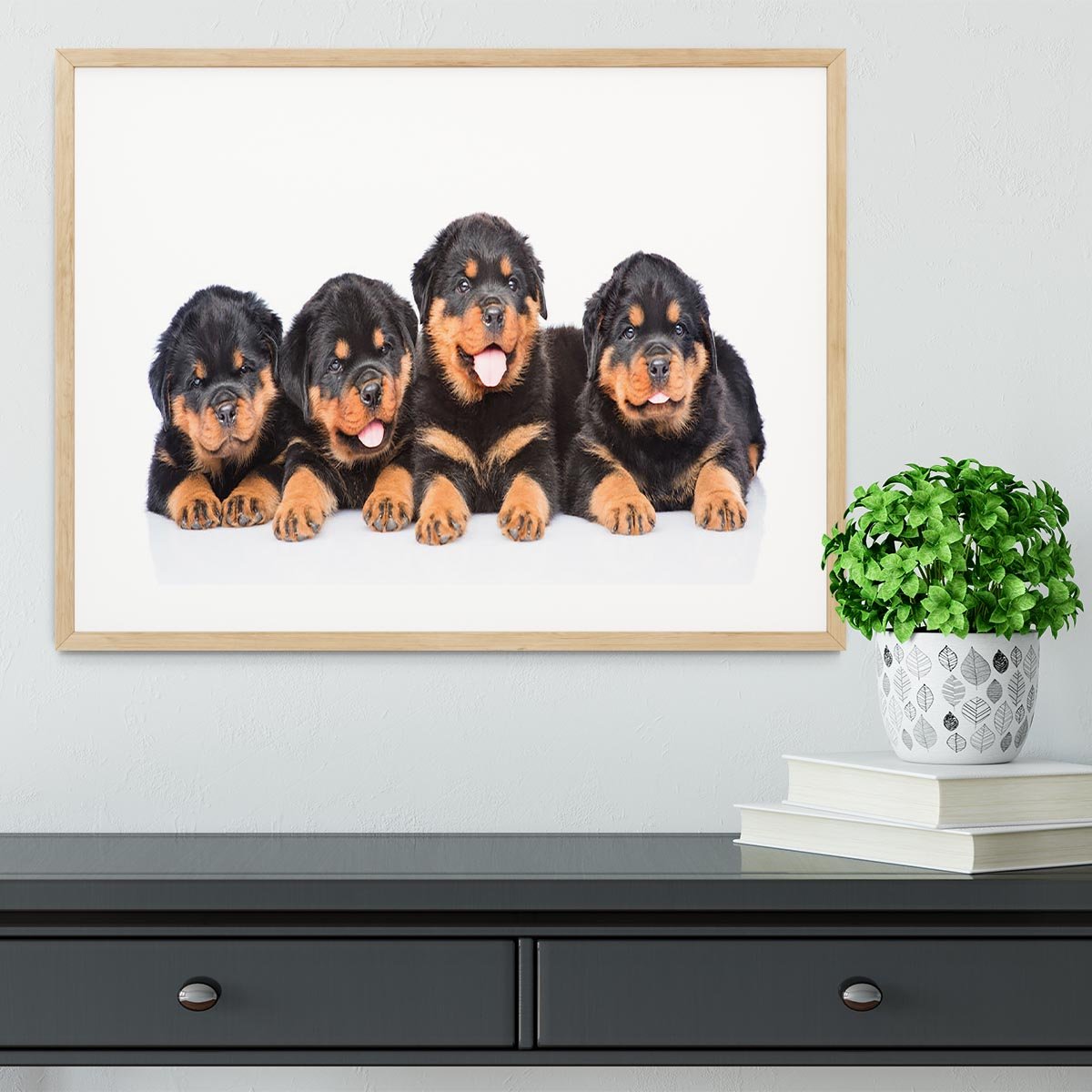 Group of puppies Rottweiler Framed Print - Canvas Art Rocks - 3