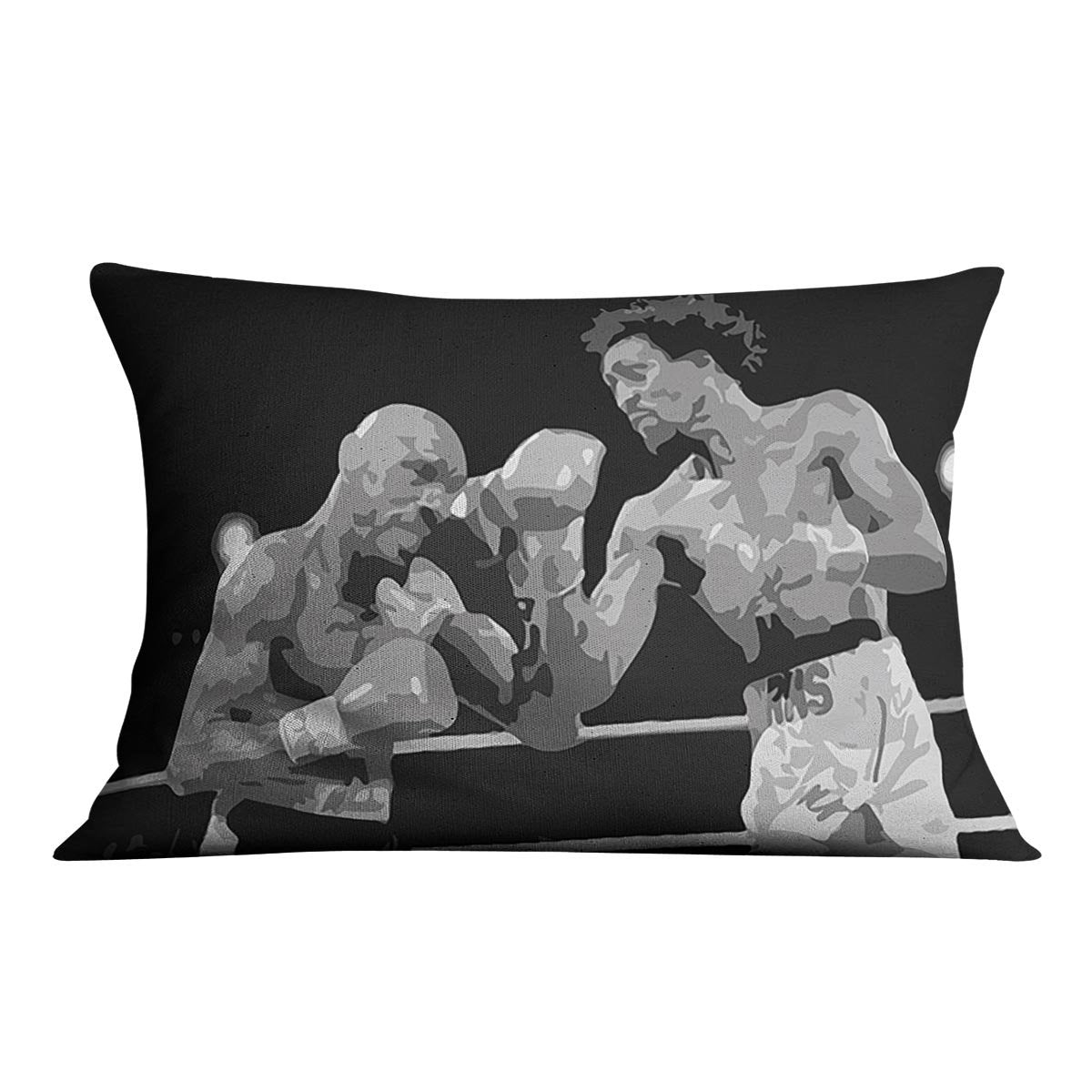 Hagler vs Hearns Cushion