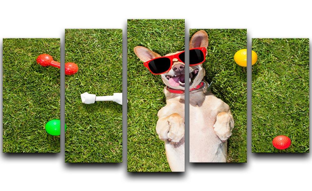 Happy chihuahua terrier dog in park 5 Split Panel Canvas - Canvas Art Rocks - 1