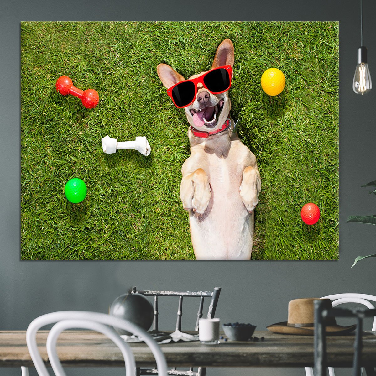 Happy chihuahua terrier dog in park Canvas Print or Poster