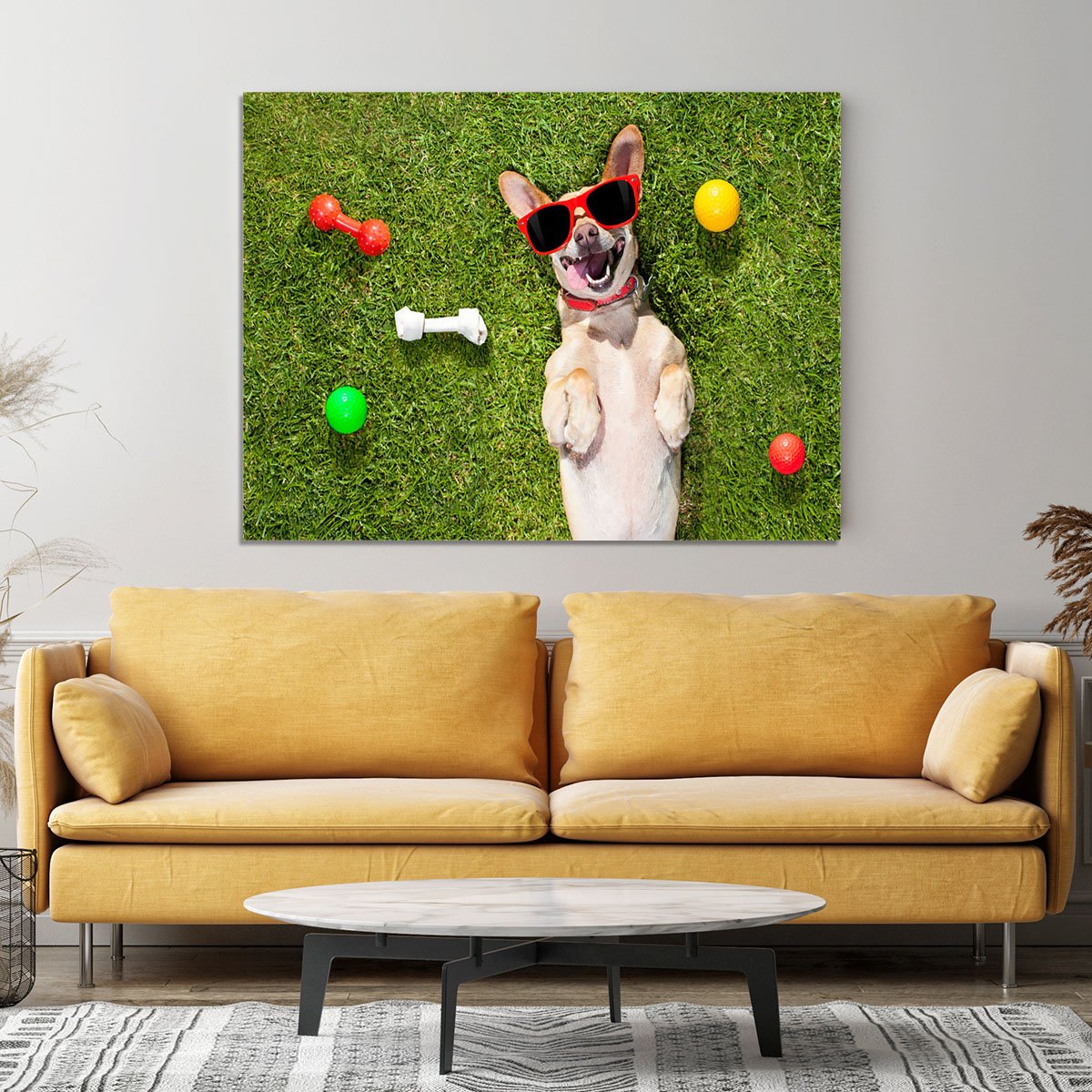 Happy chihuahua terrier dog in park Canvas Print or Poster