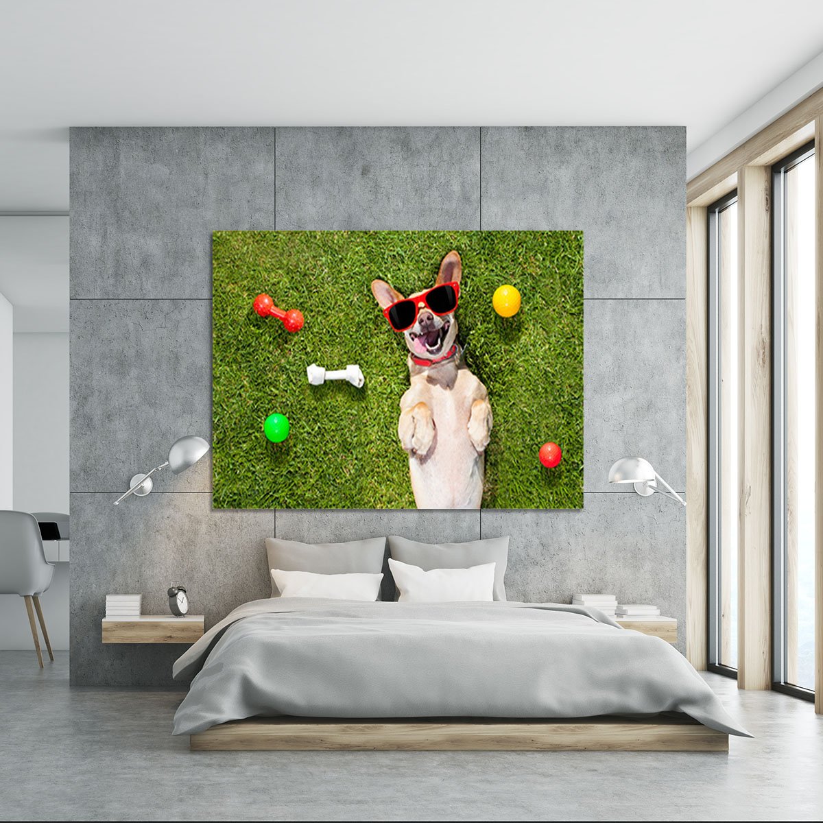 Happy chihuahua terrier dog in park Canvas Print or Poster