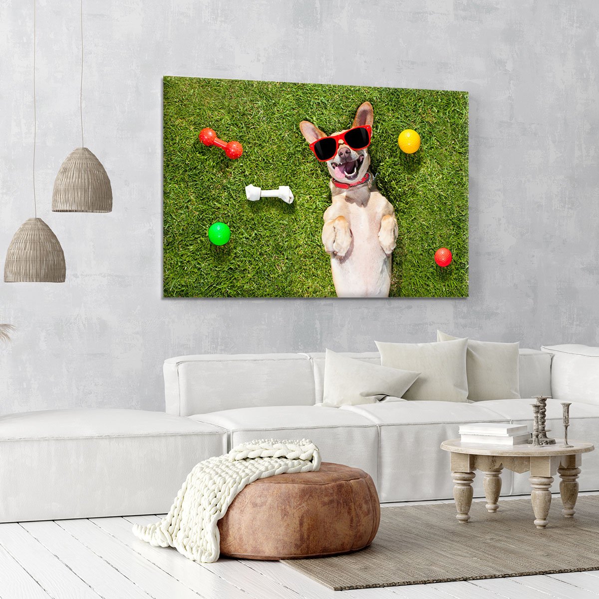 Happy chihuahua terrier dog in park Canvas Print or Poster