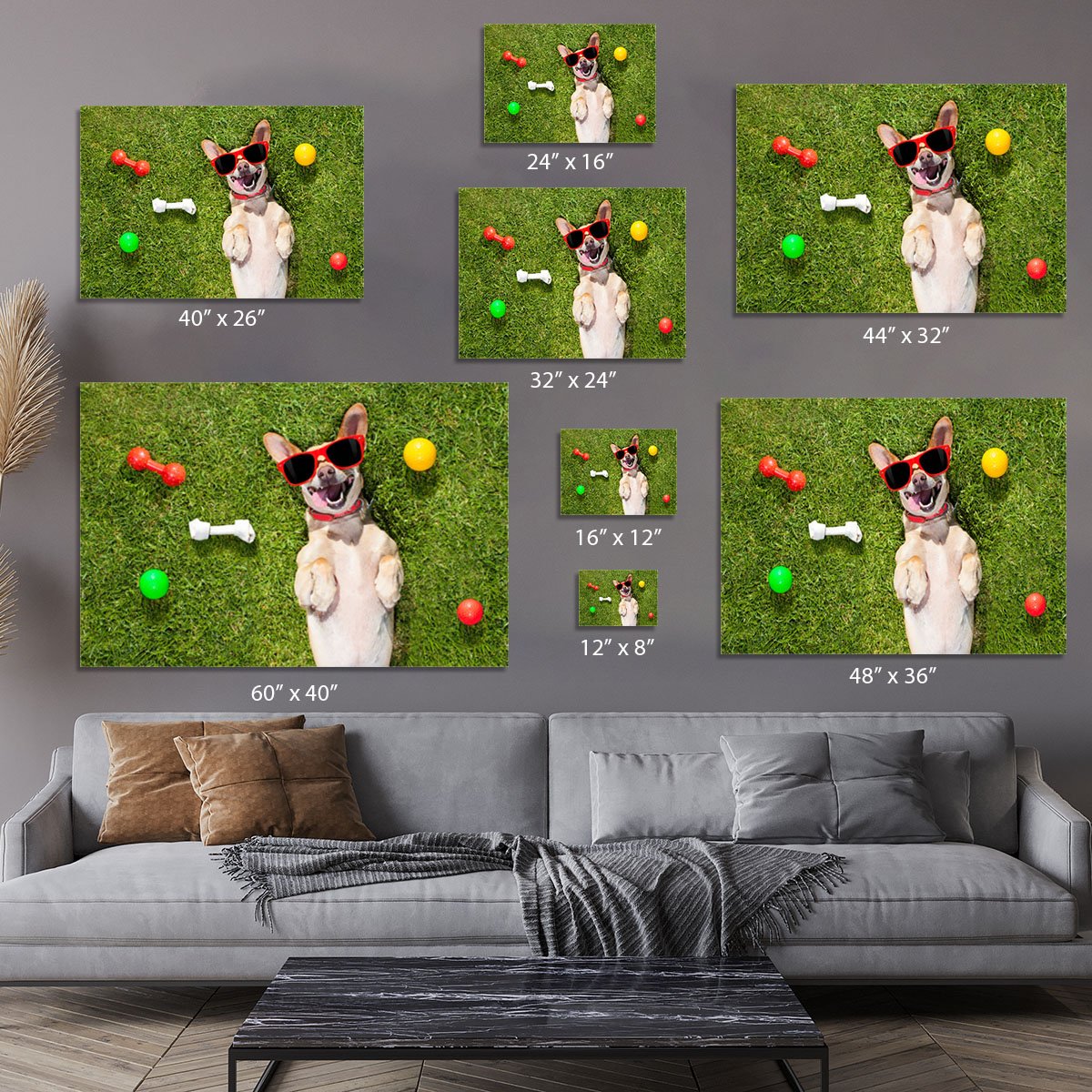 Happy chihuahua terrier dog in park Canvas Print or Poster