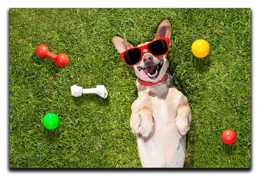 Happy chihuahua terrier dog in park Canvas Print or Poster - Canvas Art Rocks - 1
