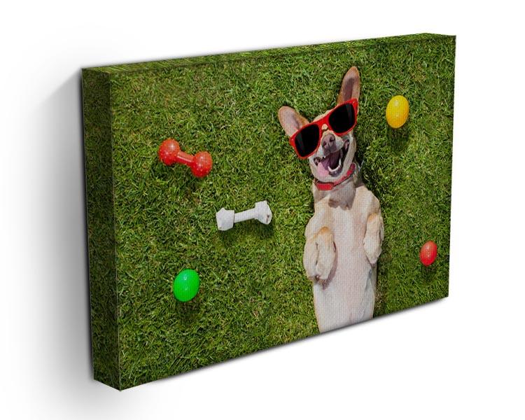 Happy chihuahua terrier dog in park Canvas Print or Poster - Canvas Art Rocks - 3