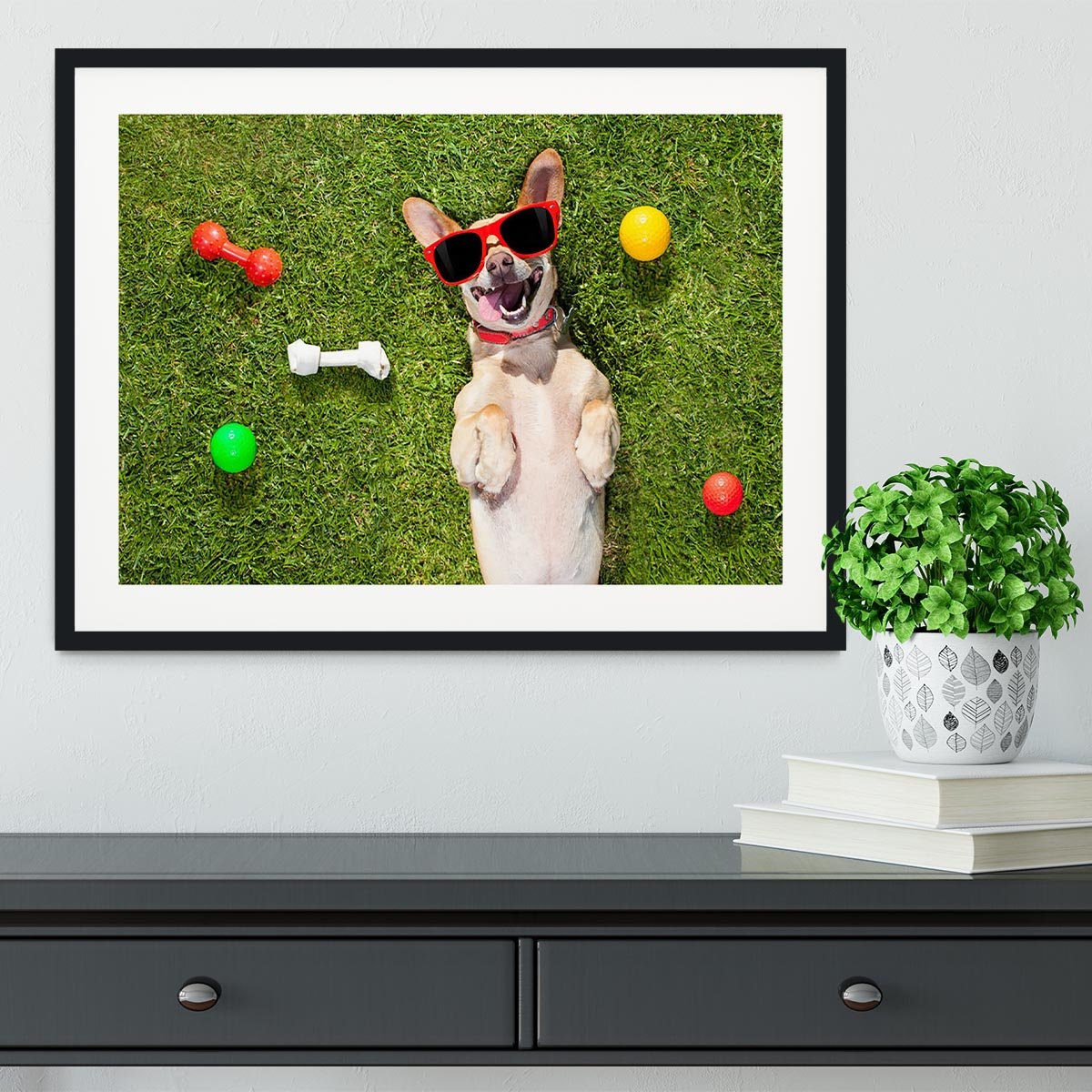 Happy chihuahua terrier dog in park Framed Print - Canvas Art Rocks - 1