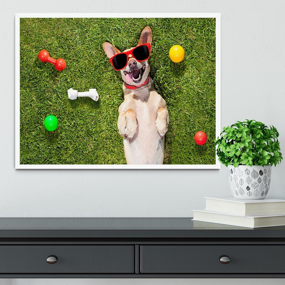 Happy chihuahua terrier dog in park Framed Print - Canvas Art Rocks -6