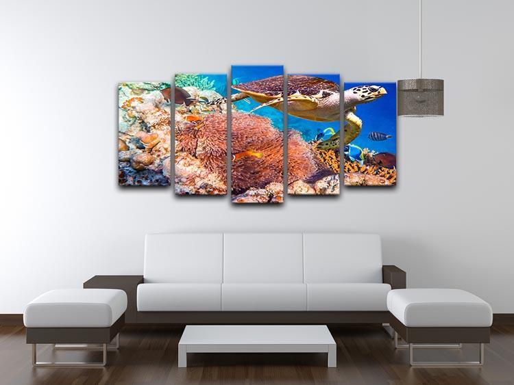 Hawksbill Turtle 5 Split Panel Canvas  - Canvas Art Rocks - 3