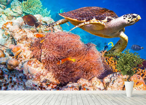 Hawksbill Turtle Wall Mural Wallpaper - Canvas Art Rocks - 4