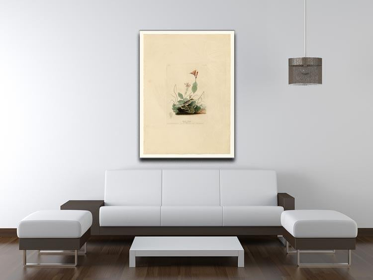 Henslows Bunting by Audubon Canvas Print or Poster - Canvas Art Rocks - 4