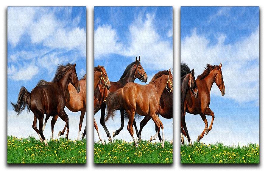 Herd gallops in green field 3 Split Panel Canvas Print - Canvas Art Rocks - 1