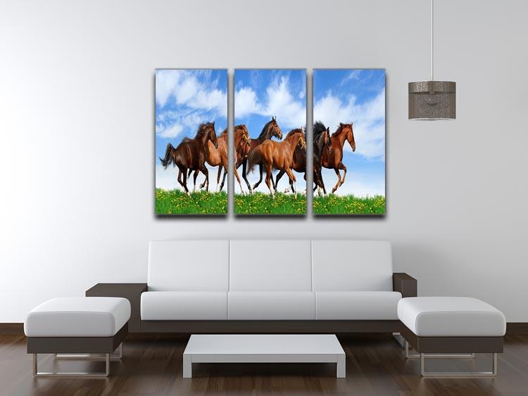 Herd gallops in green field 3 Split Panel Canvas Print - Canvas Art Rocks - 3