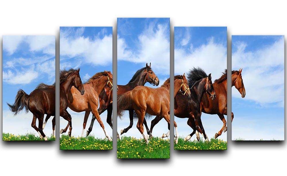 Herd gallops in green field 5 Split Panel Canvas - Canvas Art Rocks - 1