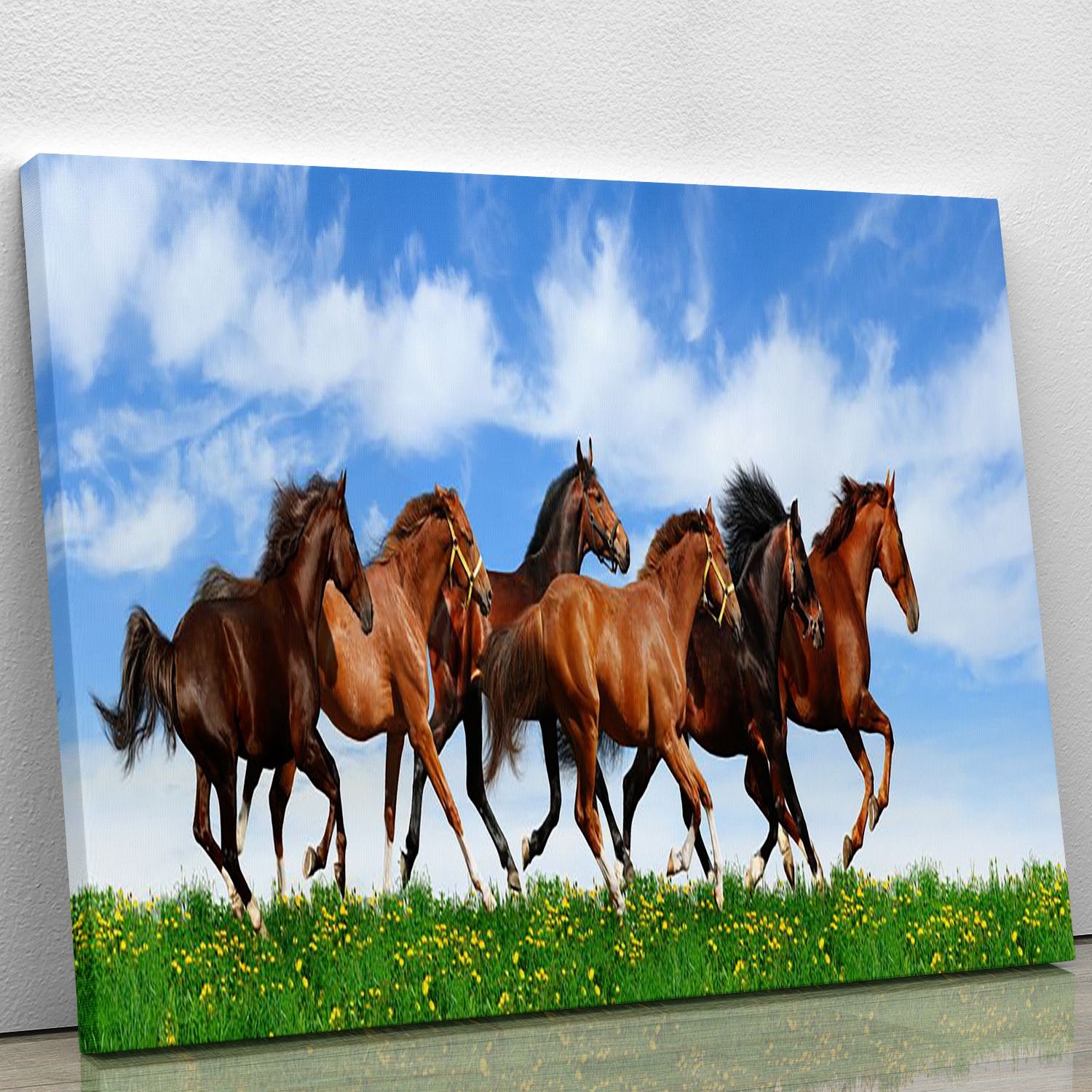 Herd gallops in green field Canvas Print or Poster