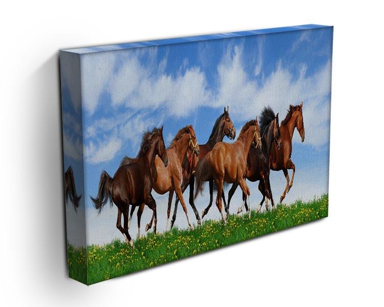 Herd gallops in green field Canvas Print or Poster - Canvas Art Rocks - 3