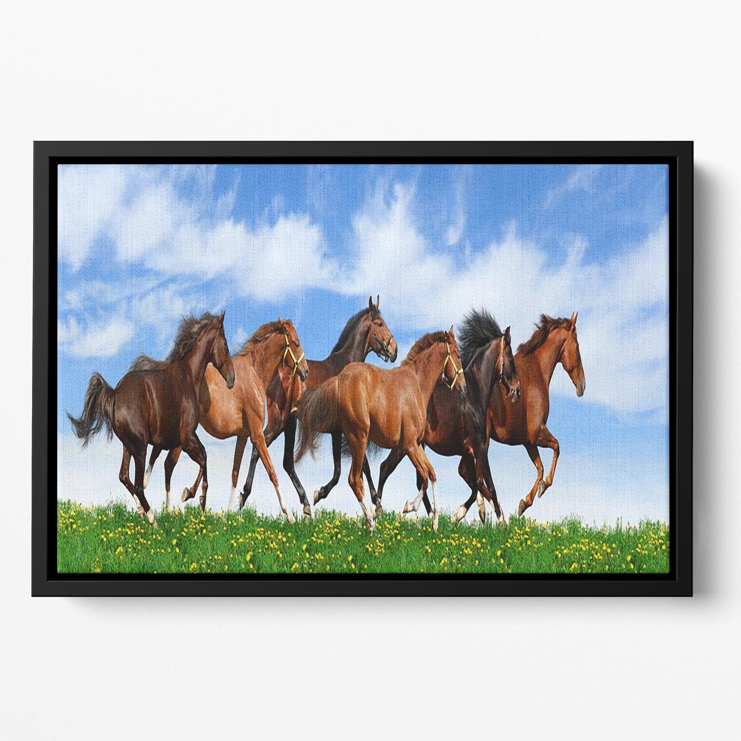Herd gallops in green field Floating Framed Canvas - Canvas Art Rocks - 2