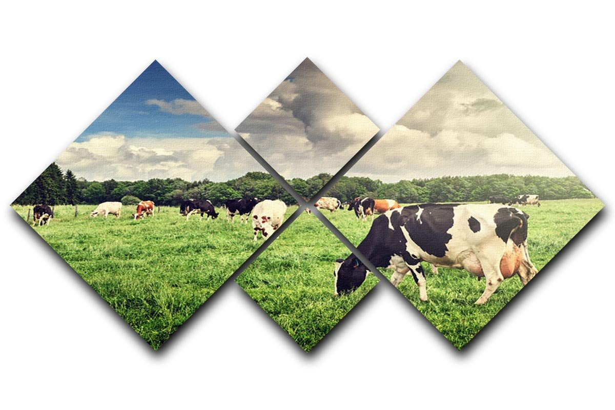 Herd of cows grazing at summer green field 4 Square Multi Panel Canvas - Canvas Art Rocks - 1
