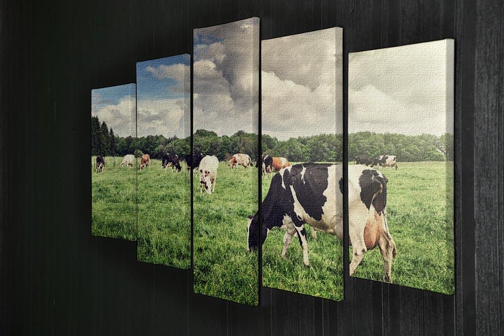Herd of cows grazing at summer green field 5 Split Panel Canvas - Canvas Art Rocks - 2