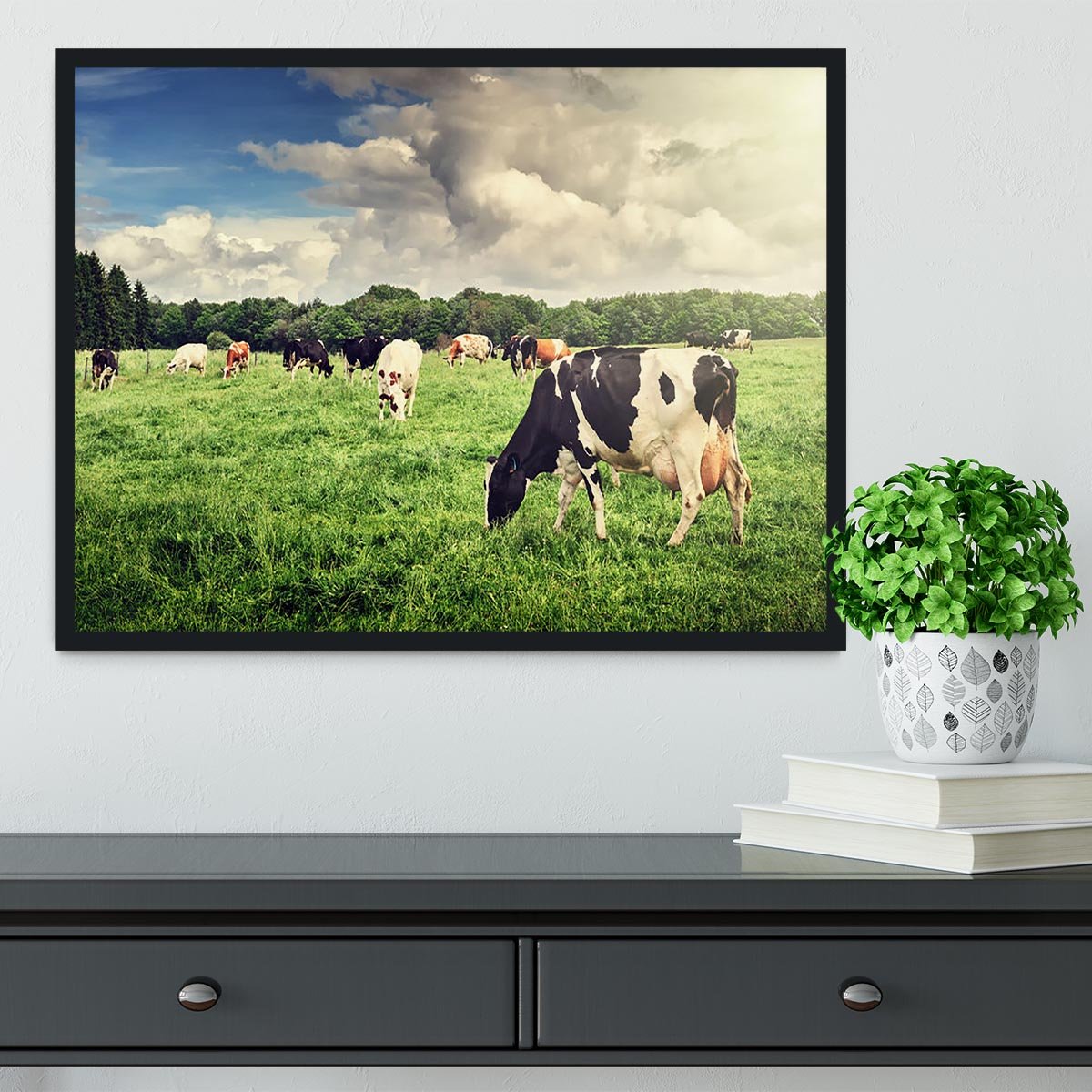 Herd of cows grazing at summer green field Framed Print - Canvas Art Rocks - 2