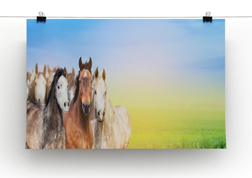 Herd of horses on background of summer Canvas Print or Poster - Canvas Art Rocks - 2